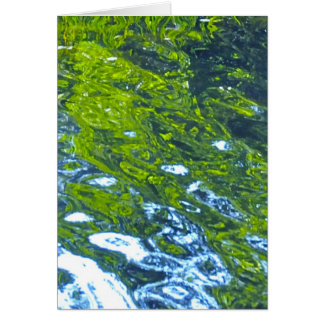 Go With The Flow! Cards