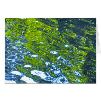 Go With The Flow! Cards
