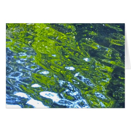 Go With The Flow! Cards (Front Horizontal)