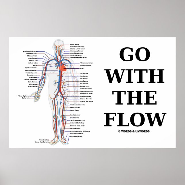 Go With The Flow (Circulatory System) Poster (Front)
