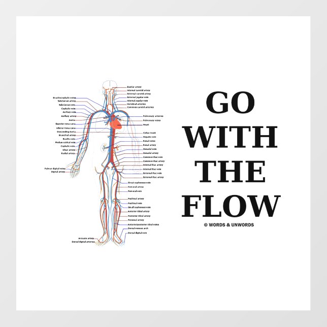 Go With The Flow Circulatory System Wall Decal (Front)