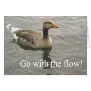 go with the flow duck cards