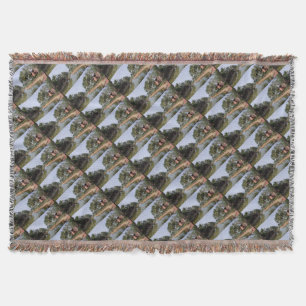 Goa India Throw Blanket
