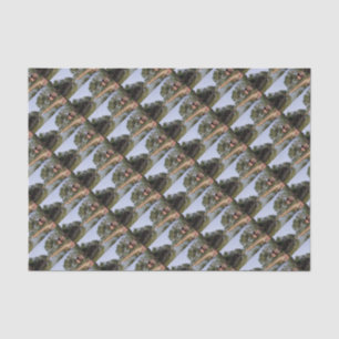 Goa India Tissue Paper
