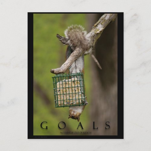 GOALS Inspirational Funny Squirrel Postcards