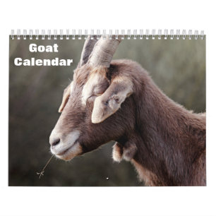 Goat 2026 calendar