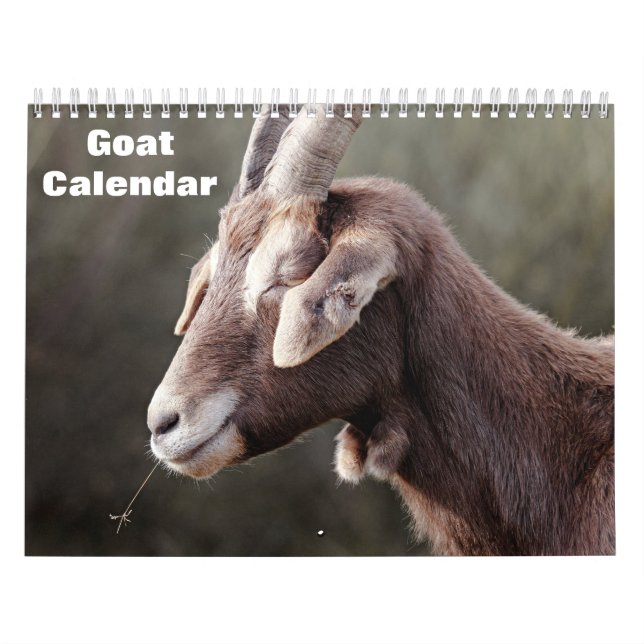 Goat 2026 calendar (Cover)