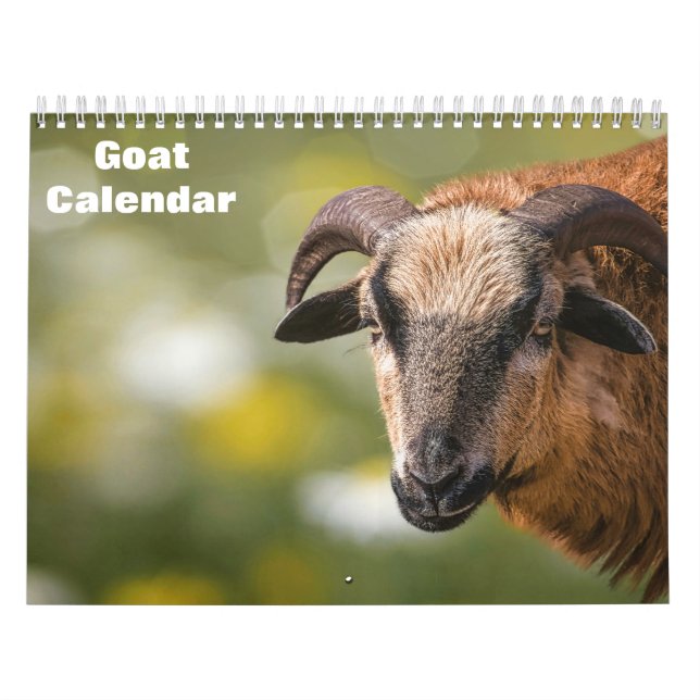 Goat 2027 calendar (Cover)