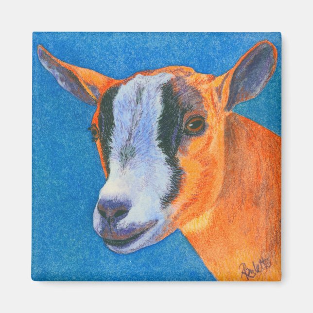 Goat #2 Magnet - Pygmy Goat (Front)