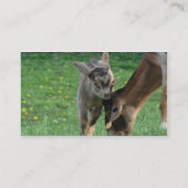 Goat Acres Business Card (Back)