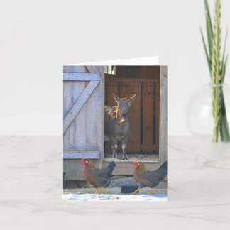 Goat and Chicken Farmyard Note Card