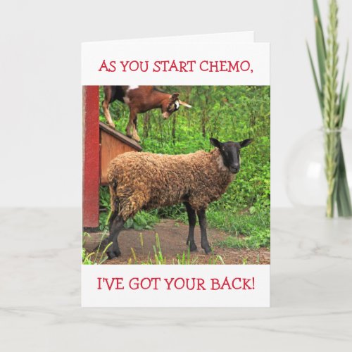 Goat And Sheep Chemo Comfort  Card