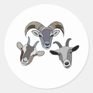 Goat Animal Funny Goat