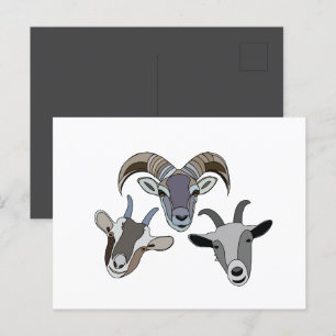 Goat Animal Funny Goat Postcard