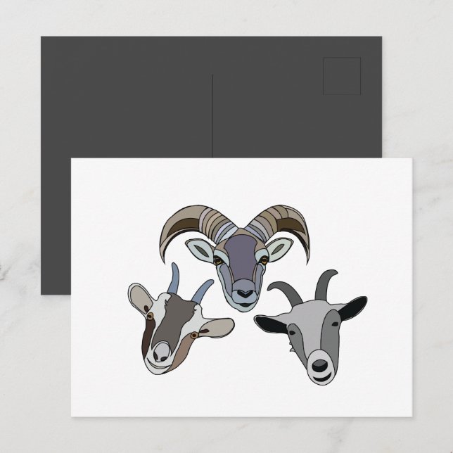 Goat Animal Funny Goat Postcard (Front/Back)