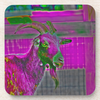 Goat Art Beverage Coaster