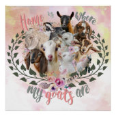 GOAT ART | Home is Where My Goats Are GetYerGoat Poster (Front)