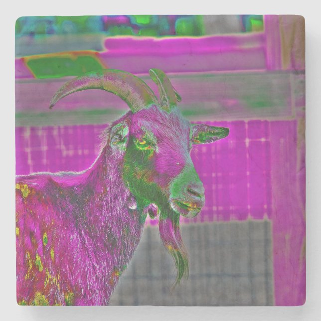 Goat Art Stone Coaster (Front)