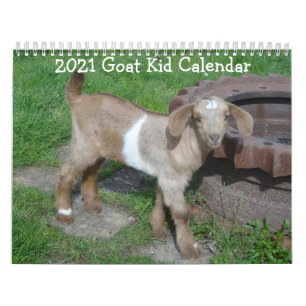 Goat Baby Calendar
