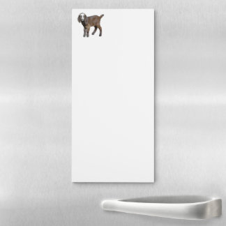 Goat Baby Magnetic Notepad