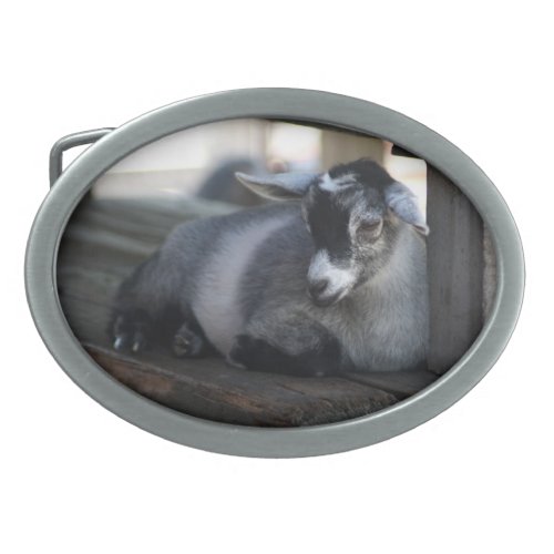 Goat Belt Buckle