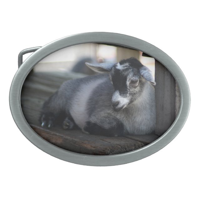 Goat Belt Buckle (Front)