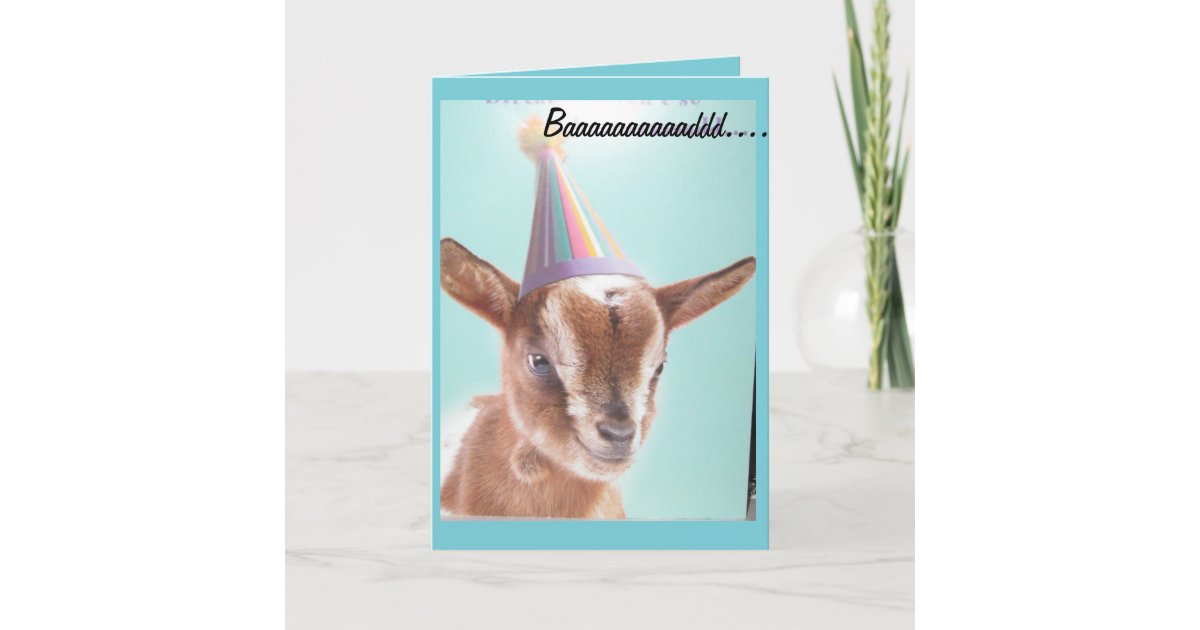 happy birthday cute goat