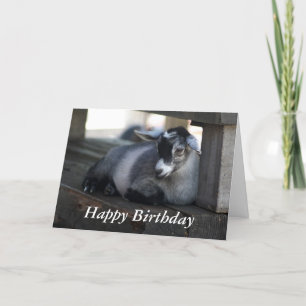 Goat Birthday Card