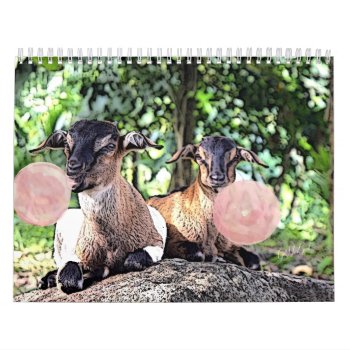 Goat | Bubblegum Watercolor Painting Goat Calendar by getyergoat at Zazzle