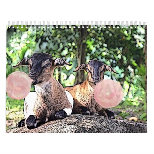 GOAT  Bubblegum Watercolor Painting Goat Calendar