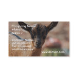 Goat Business Card