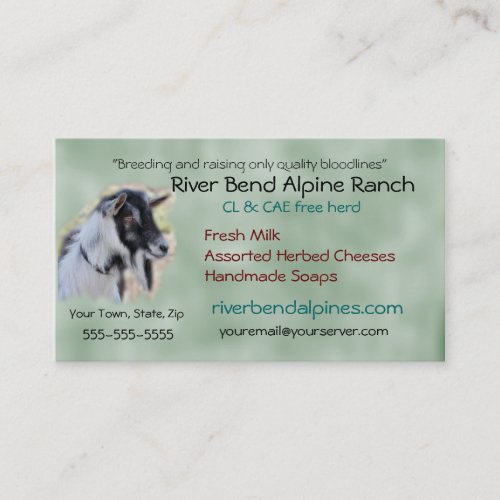 Goat Business Card_ customize_add your own photo Business Card
