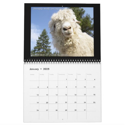Goat Calendar with Inspirational Quotes Zazzle