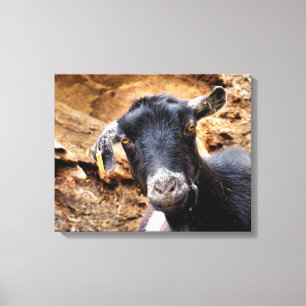GOAT CANVAS PRINT