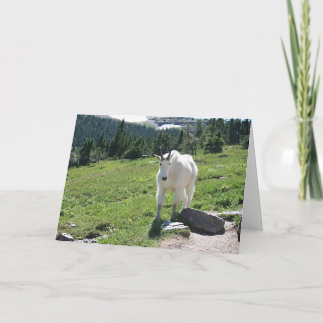 Goat Card (Front)