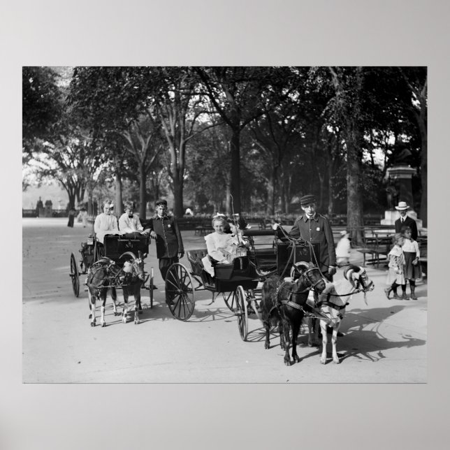 Goat Carriage Ride, early 1900s Poster (Front)