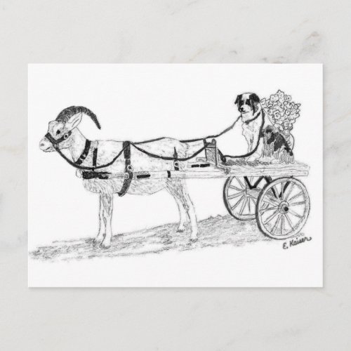 Goat Cart with Shepherd Dog and Flowers Postcard