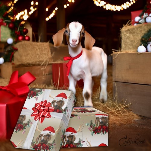 Goat Christmas Adorable Boer Baby in Antlers   Wrapping Paper