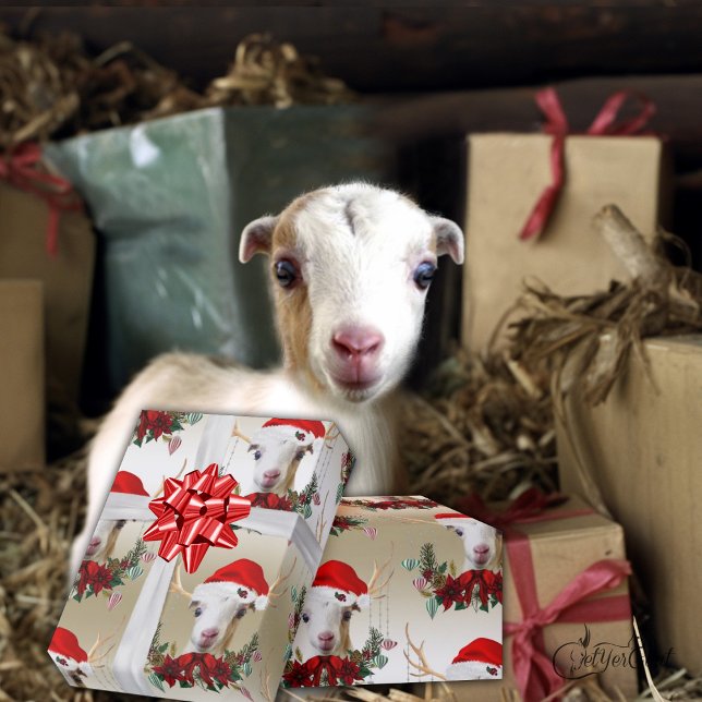 Goat Christmas Adorable LaMancha Kid in Antlers  W Wrapping Paper (Creator Uploaded)
