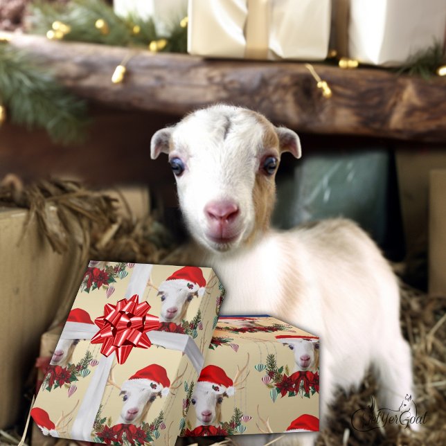 Goat Christmas Adorable LaMancha Kid in Antlers  Wrapping Paper (Creator Uploaded)
