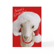 Goat Christmas Card LaMancha Goat