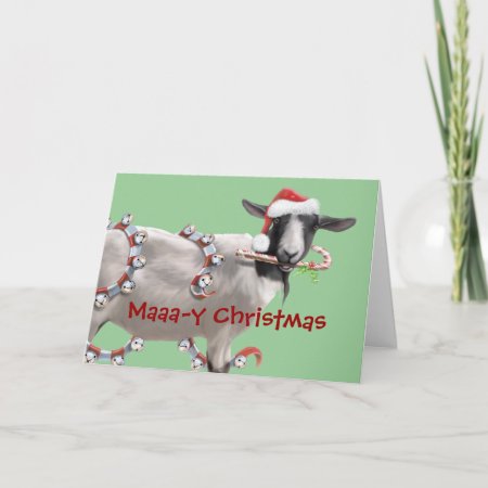 Goat Christmas Holiday Card