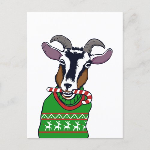 Goat Christmas Sweater Postcard