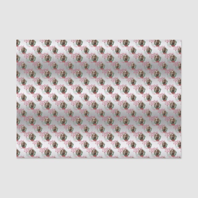 GOAT | Christmas Wishes Baby Goat Kisses Boer Tissue Paper (Front)