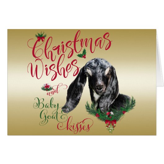 GOAT | Christmas Wishes Baby Goat Kisses Nubian (Front Horizontal)