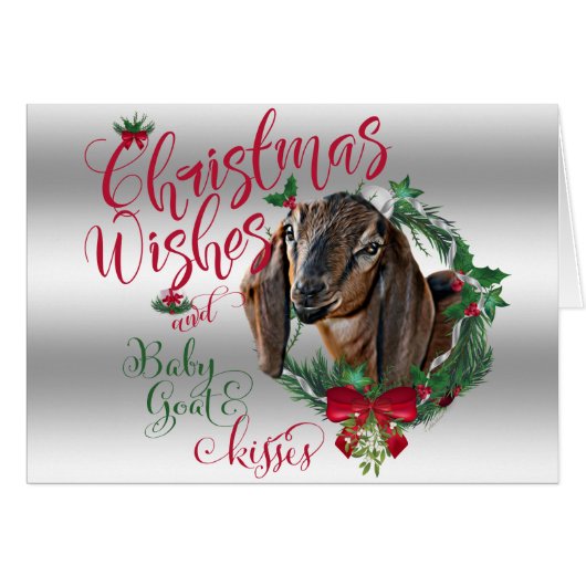 GOAT | Christmas Wishes Baby Goat Kisses Nubian 2 (Front Horizontal)