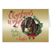 GOAT | Christmas Wishes Baby Goat Kisses Nubian 3 (Front Horizontal)