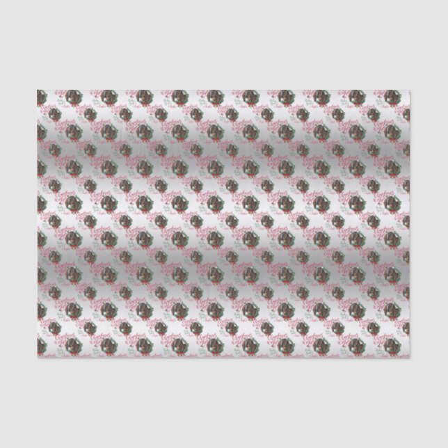 GOAT | Christmas Wishes Baby Goat Kisses Nubian 3 Tissue Paper (Front)