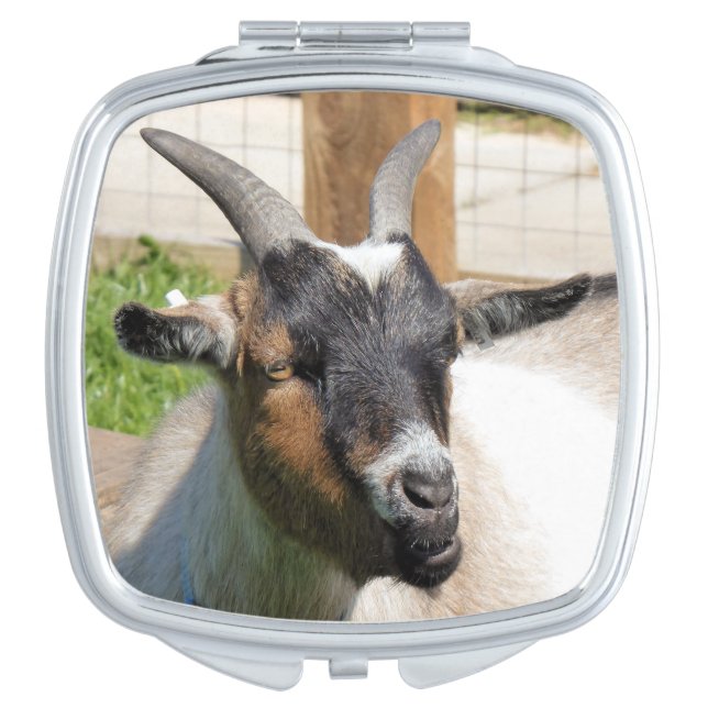 GOAT COMPACT MIRROR (Front)