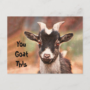 Goat Cute Funny You Goat This Postcard